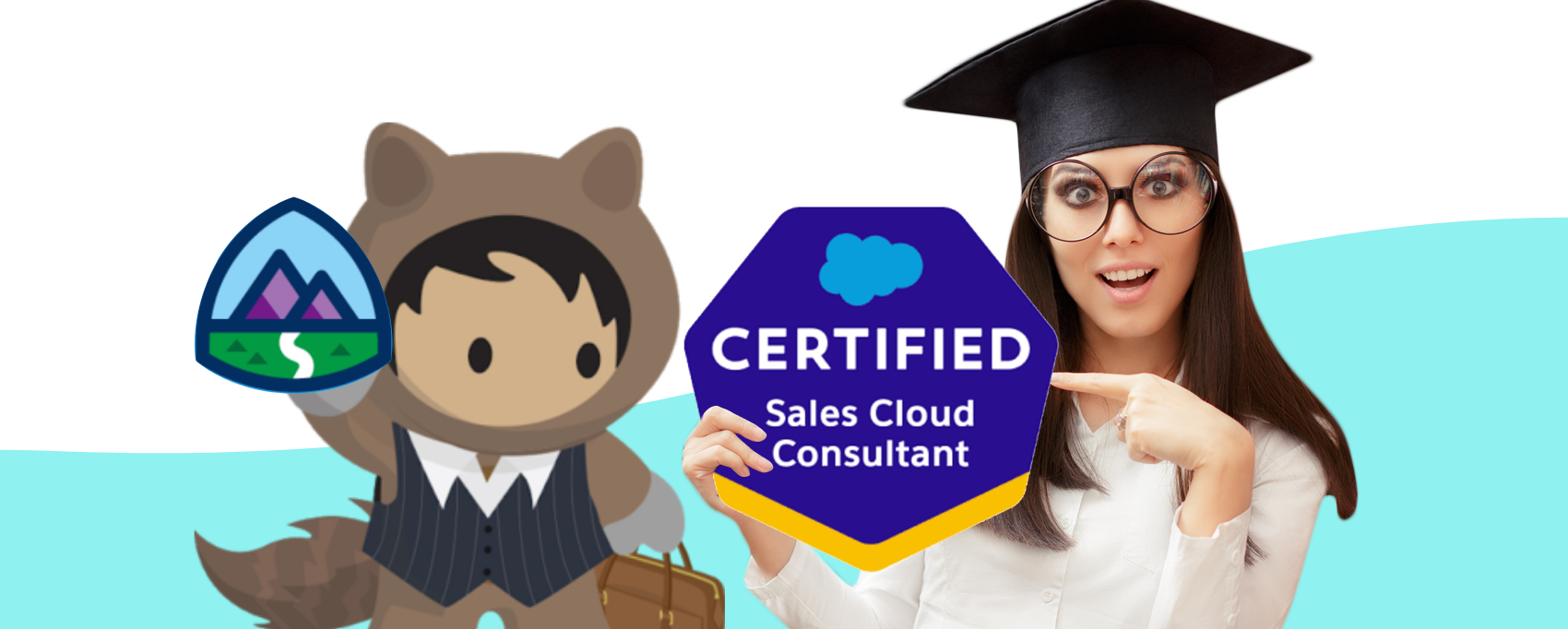 Tips to Get Your Sales Cloud Consultant Certification